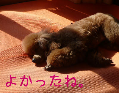 すやすや