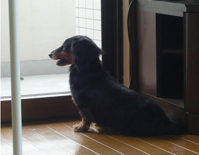たそがれ・・・・・