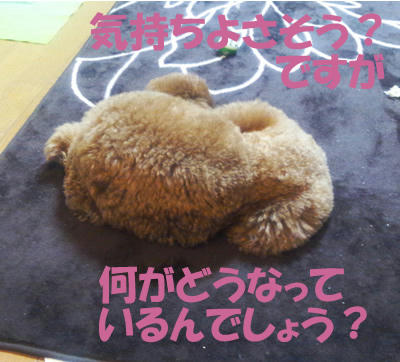 ?????