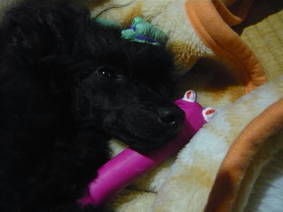 111225_02.jpg