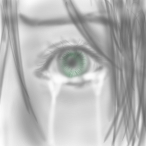 20080330.png