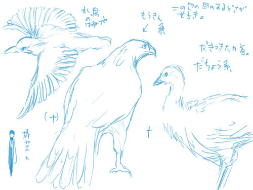tori02.jpg