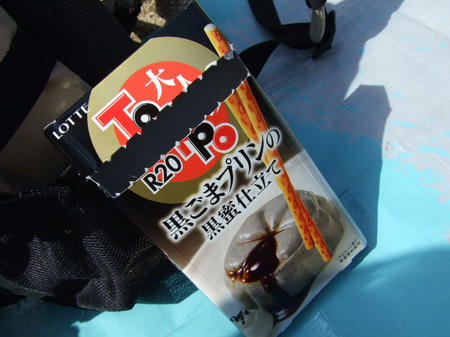2008_0316kisiwada_hanabi0203.JPG