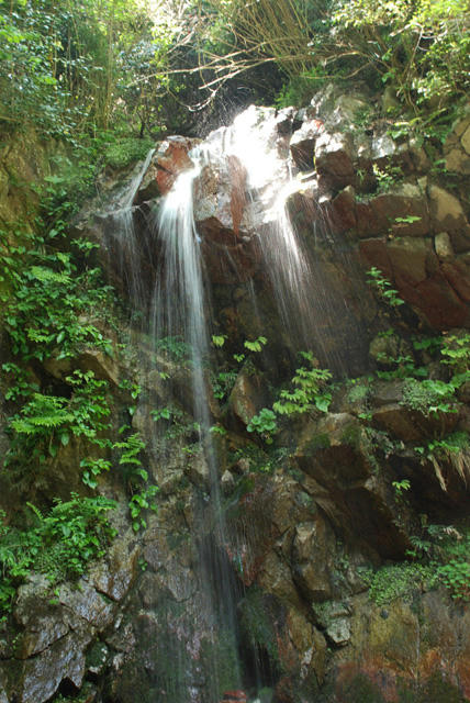 2008_0518katuragi0201.jpg