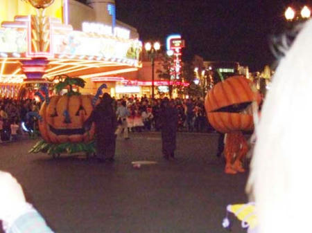 img20071029114704656.jpg