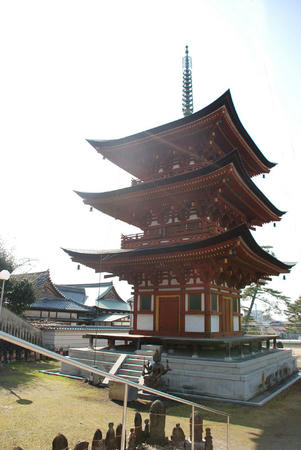 img20080211153650432.jpg