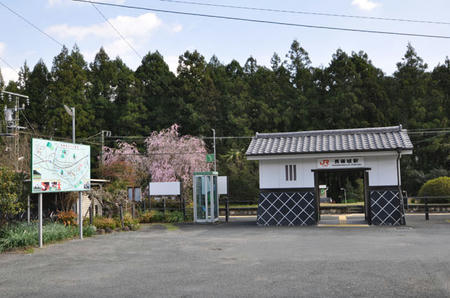 8efa7b65.jpg