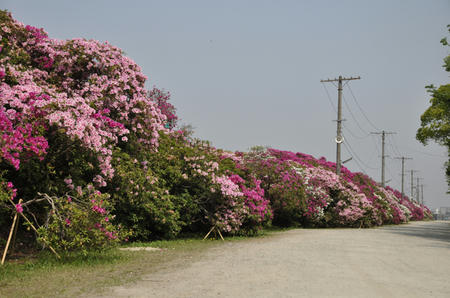 DSC_0007.jpg