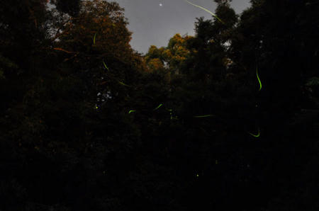 DSC_0033.jpg