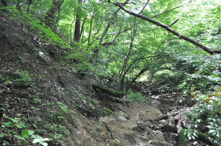 DSC_0002.jpg
