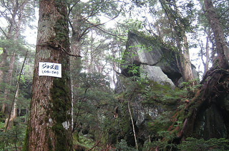 2010_07040013.jpg