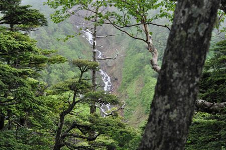 DSC_0113.jpg