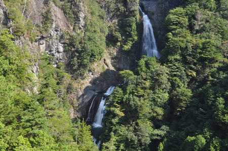 b316985d.jpg