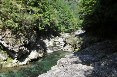 DSC_0027.jpg