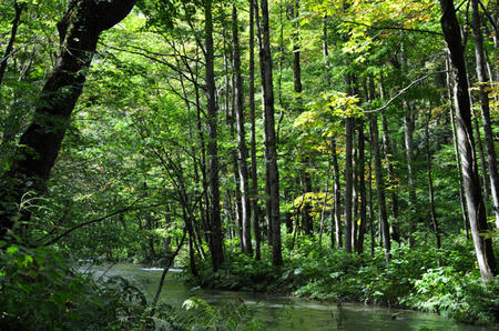 DSC_0556.jpg