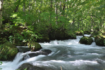 DSC_0526.jpg