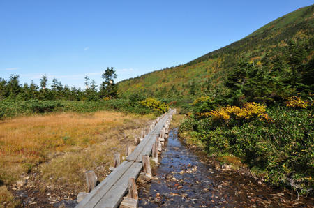 DSC_0706.jpg