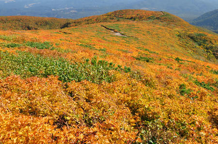 DSC_1016c.jpg