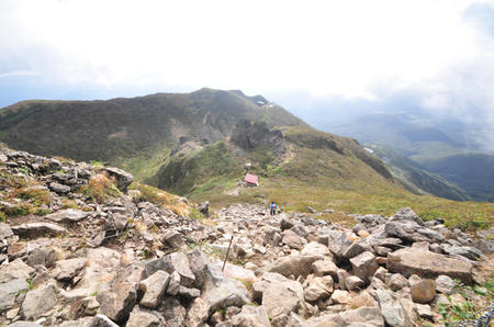 DSC_0196.jpg
