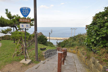 DSC_0357.jpg