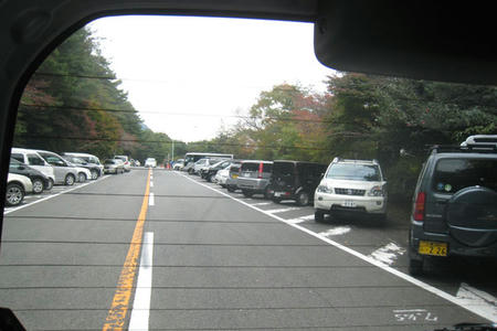 7774e836.jpg