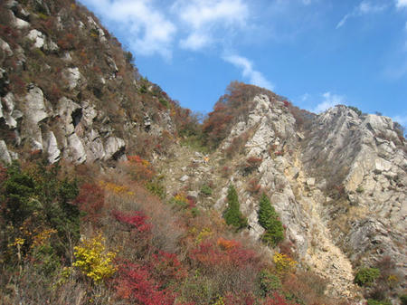 IMG_0032.jpg