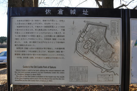 DSC_0116.jpg