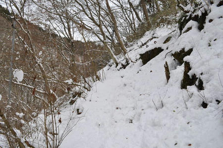 3748201_932426270_201large.jpg