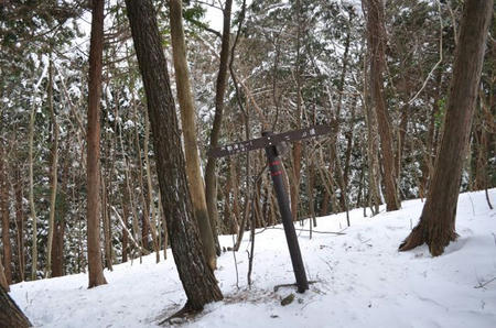 DSC_0045_2.jpg