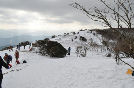 3748201_963671876_172large.jpg