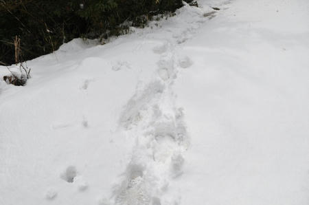 DSC_0028.jpg