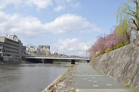 3748201_1074981899_48large.jpg