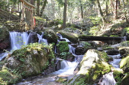 3748201_1088315008_169large.jpg