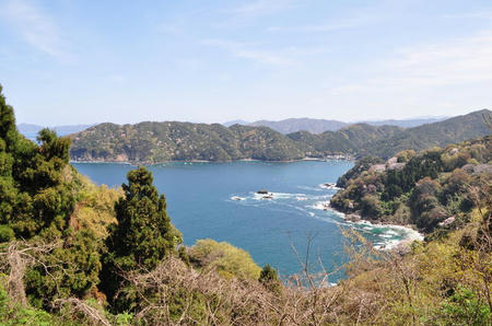 3748201_1088314979_231large.jpg
