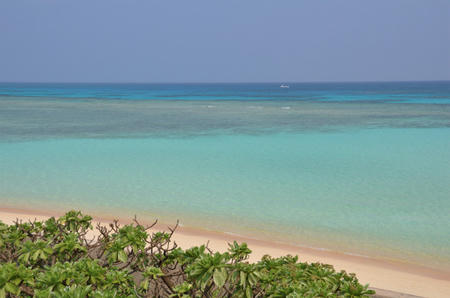 DSC_0079s.jpg