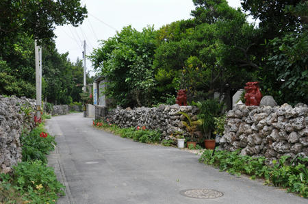 DSC_0110.jpg