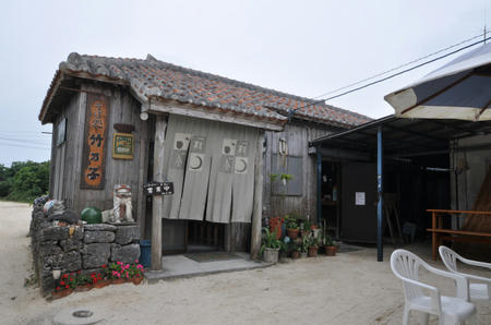 DSC_0237.jpg
