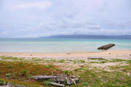 DSC_0357s.jpg