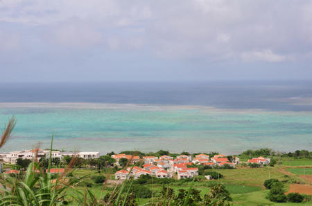 DSC_0373s.jpg