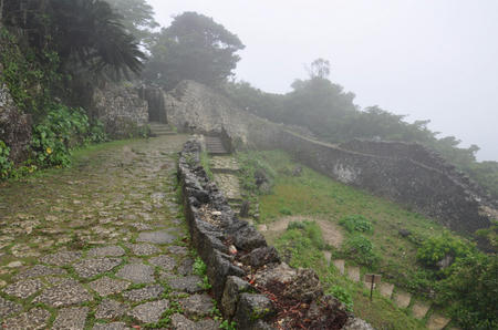 DSC_0487.jpg