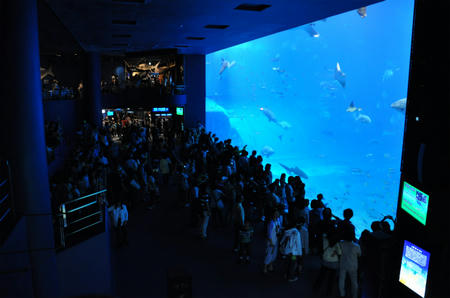 DSC_0586.jpg