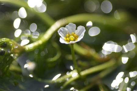 DSC_0072.jpg