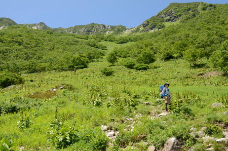 DSC_1005.jpg