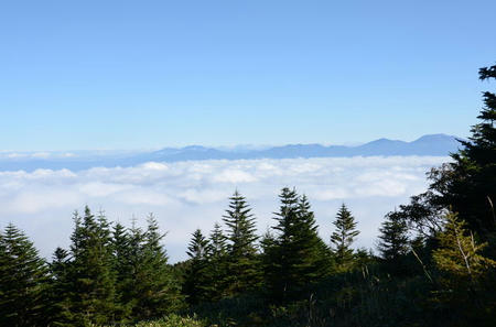 3748201_1339273008_245large.jpg