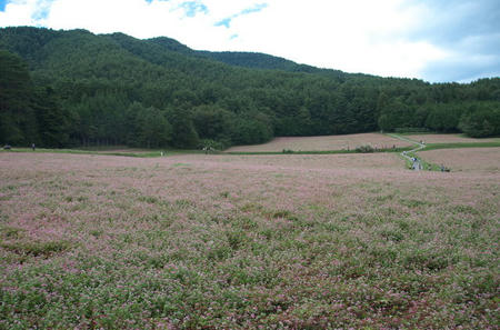3748201_1339272521_10large.jpg
