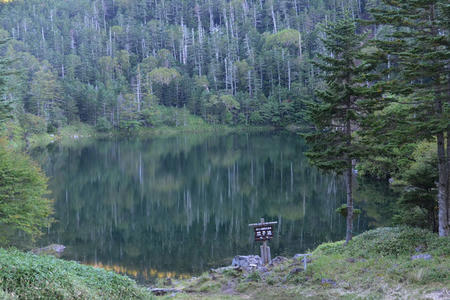 3748201_1339272773_31large.jpg