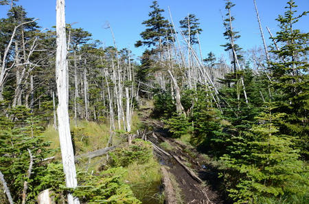3748201_1339272786_21large.jpg