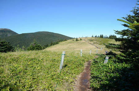 3748201_1339272985_231large.jpg