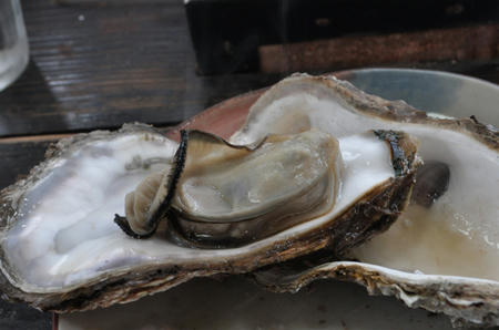 DSC_0242.jpg