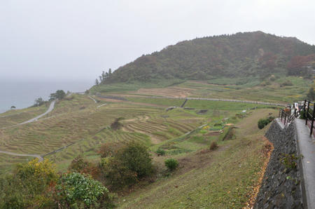 DSC_0271.jpg